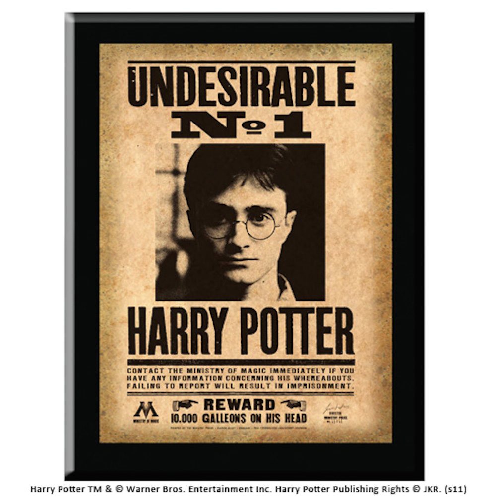 Harry Potter Undesirable Plaque